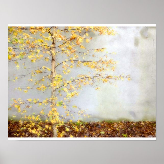 One Tree Poster (Vorne)