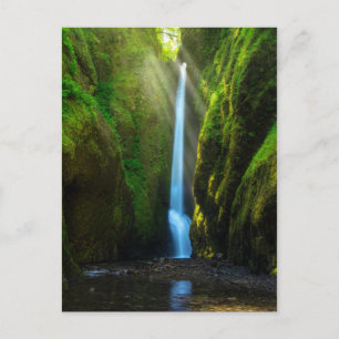 Oneonta Falls Postkarte