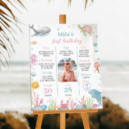 Onethe Sea Pastel Birthday Meilenstein Zeichen Poster