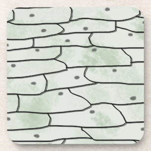 Onion Cells Getränkeuntersetzer