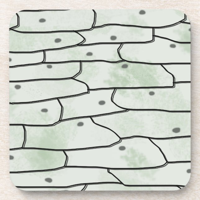 Onion Cells Getränkeuntersetzer (Vorderseite)
