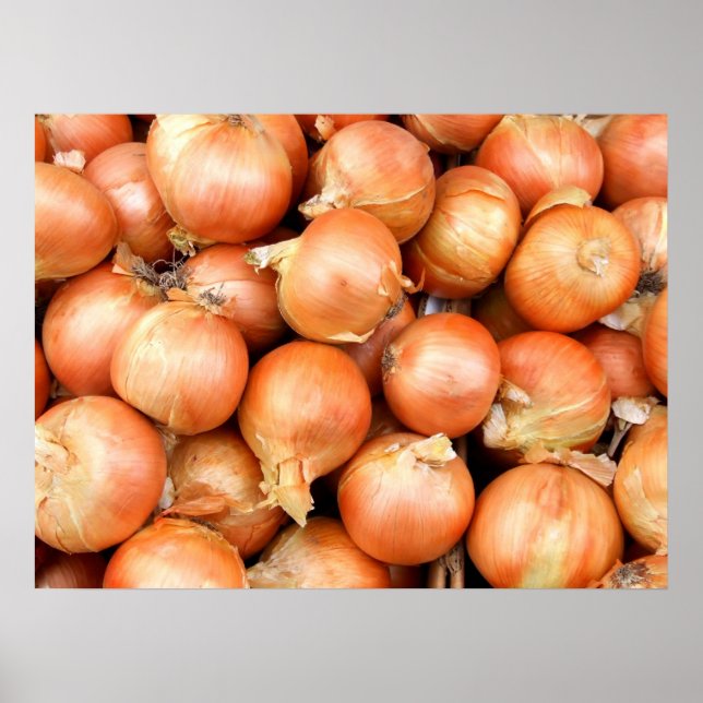 Onions Poster (Vorne)
