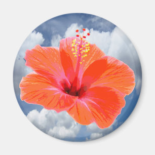 Only a Hibiscus Blossom + your text & ideas Magnet