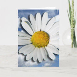 Only a Marguerite Blossom + your text & ideas Karte