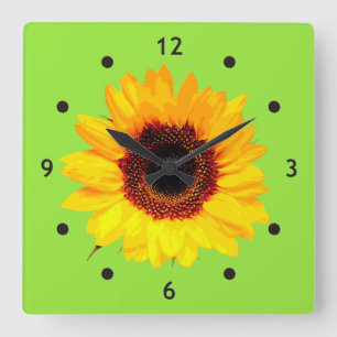 Only a Sunflower Blossom + your text & ideas Quadratische Wanduhr