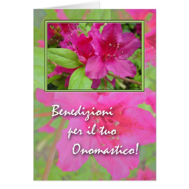Onomastico, Name Day in Italian, Azaleas (Vorne)