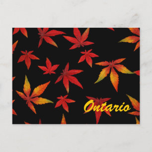 Ontario Autumn Leaves Postcard Postkarte