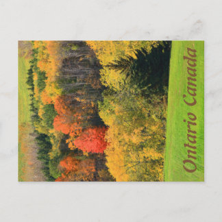 Ontario Canada Postcard Postkarte