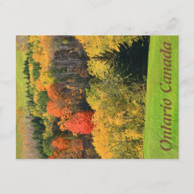 Ontario Canada Postcard Postkarte (Vorderseite)