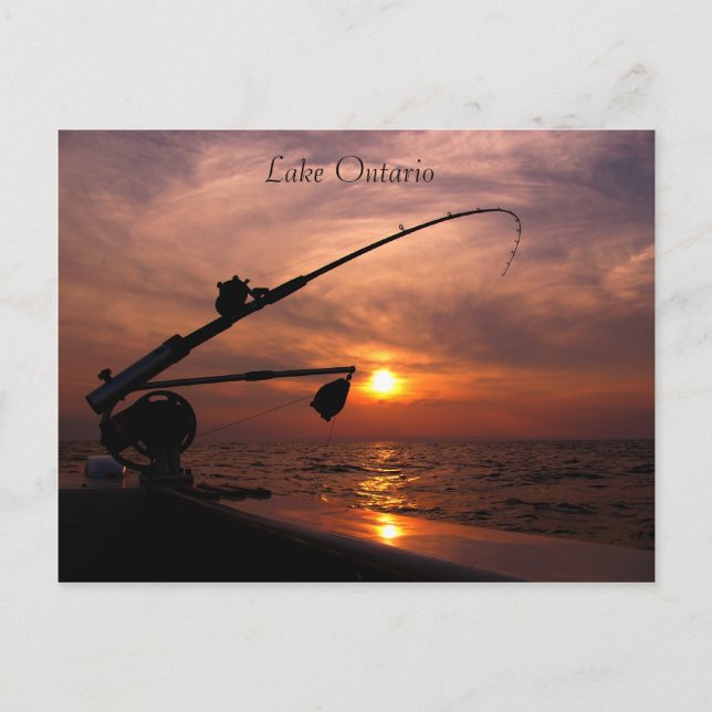 Ontario-See Postkarte (Vorderseite)