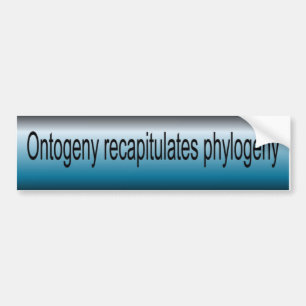 Ontogenie rekapitulieren Phylogenese Autoaufkleber