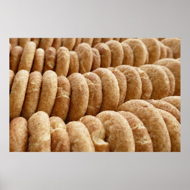 Oodles von Snickerdoodles Poster (Vorne)
