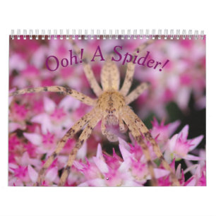 Ooh, Un Araignée ! Calendrier