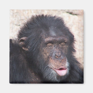 ooo ooo ooo lustiges Gesicht Magnet