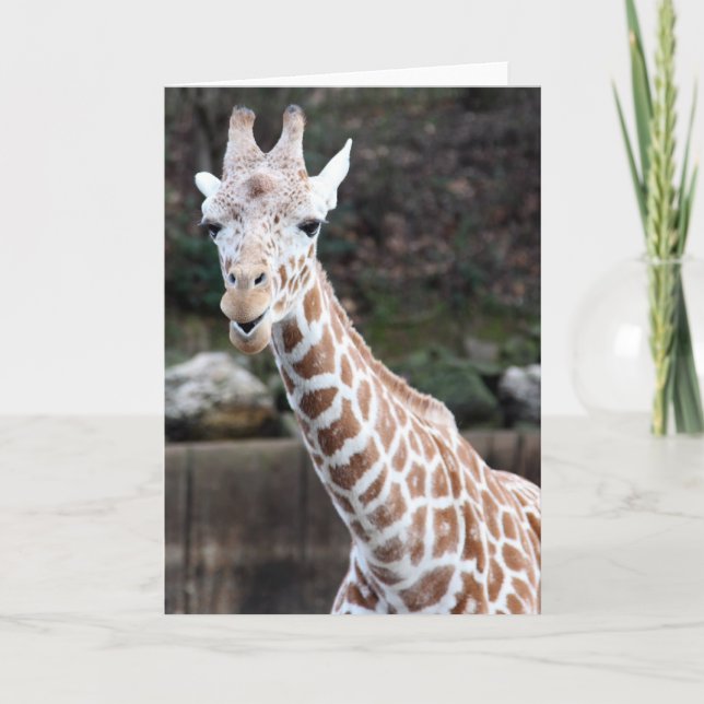 Oooh, jemand, das älter wird! karte (Vorderseite)