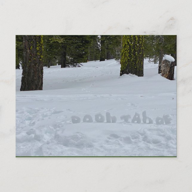 Oooh Tahoe Postkarte (Vorderseite)