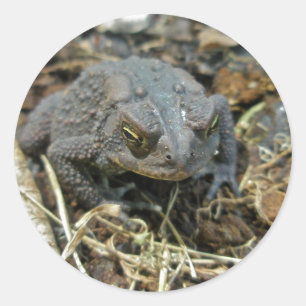 Opa Toad Sticker