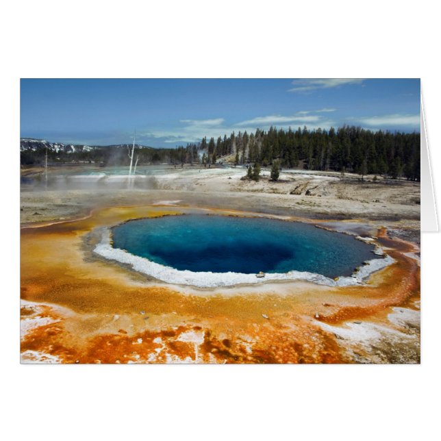 Opal Pool (Vorderseite (Horizontal))