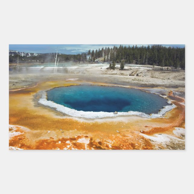 Opal Pool Rechteckiger Aufkleber (Vorderseite)