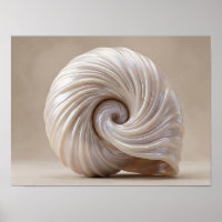 Opaleszente Spiral-Schalen-Luxus-Leinwanddruck