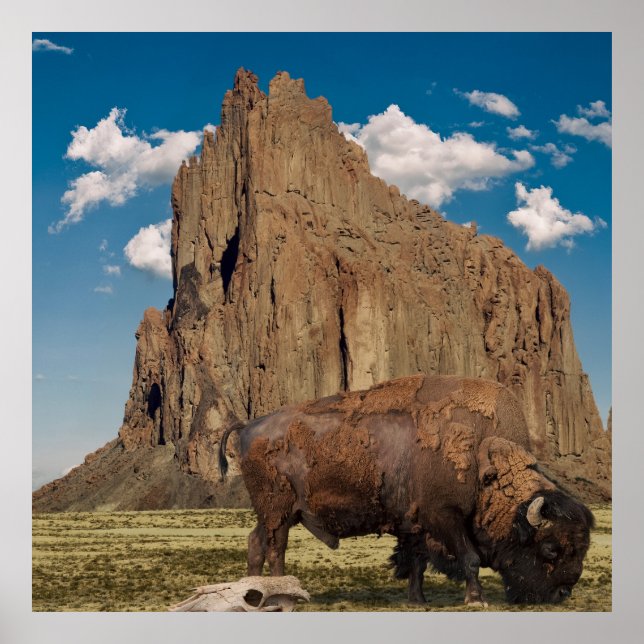 Open Country Poster (Vorne)