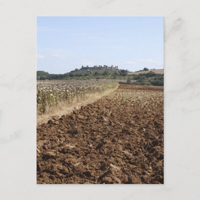 Open Field, Townscape im Hintergrund, Postkarte (Vorderseite)