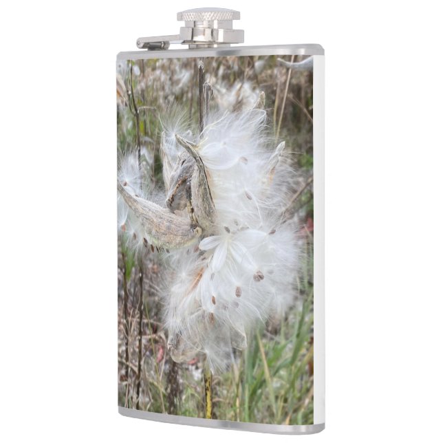 Open Milkweed Pods | Samen mit Seide | Flachmann (Links)