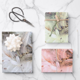 Open Milkweed Pods | Samen mit Seide | Geschenkpapier Set