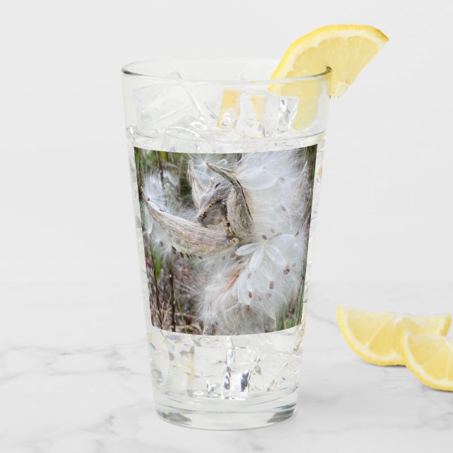 Open Milkweed Pods | Samen mit Seide | Glas (Rückseite Ice)
