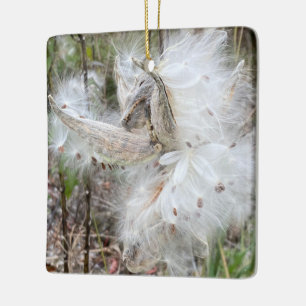 Open Milkweed Pods   Samen mit Seide   Keramikornament