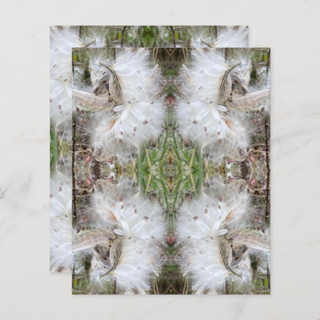 Open Milkweed Pods | Samen mit Seide | Scrapbook (Vorne/Hinten)