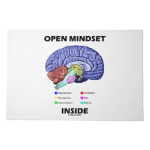 Open Mindset Inside Anatomisches Gehirn Spaß