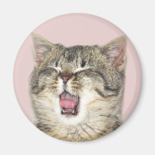 Open mouthed Kätzchen Magnet
