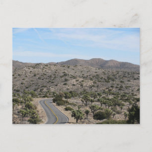 Open Road- Joshua Tree Postkarte