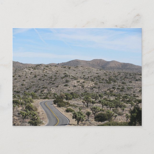 Open Road- Joshua Tree Postkarte (Vorderseite)