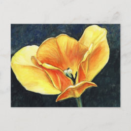 Open Tulip Art Blume Art Collection Postkarte