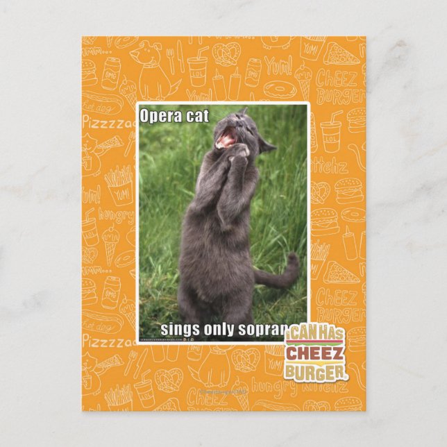Opera Cat Postkarte (Vorderseite)