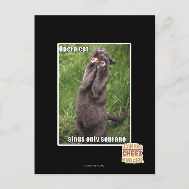 Opera Cat Postkarte (Vorderseite)