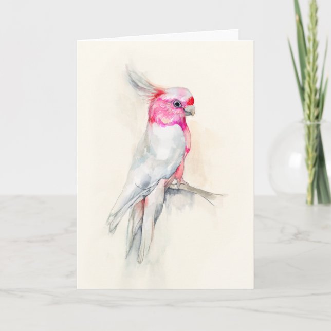 Opera Cockatoo Karte (Vorderseite)