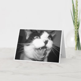 Opera Kitty Geburtstagskarte Karte