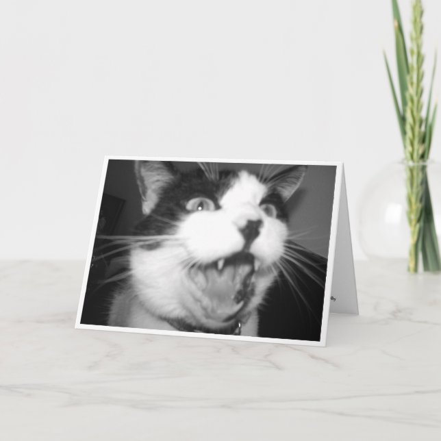 Opera Kitty Geburtstagskarte Karte (Vorderseite)