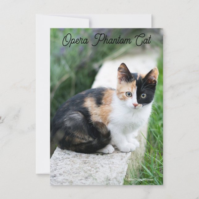 Opera Phantom Cat (Vorderseite)