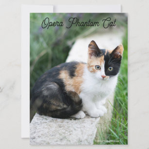Opera Phantom Cat