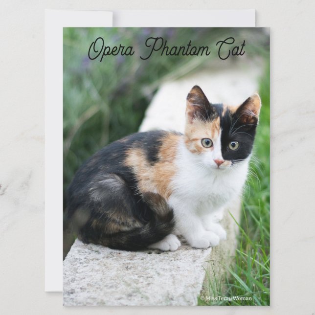 Opera Phantom Cat (Vorderseite)