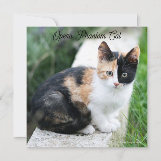 Opera Phantom Cat (Vorderseite)