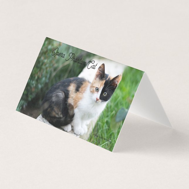 Opera Phantom Cat (Vorderseite)