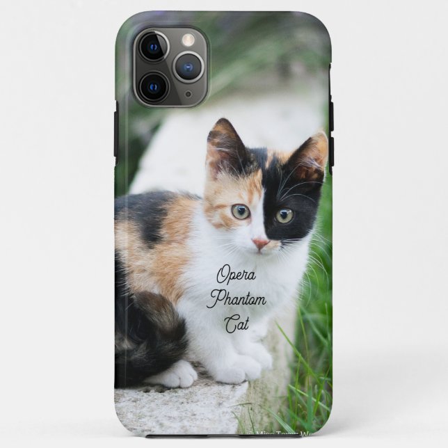 Opera Phantom Cat Case-Mate iPhone Hülle (Rückseite)