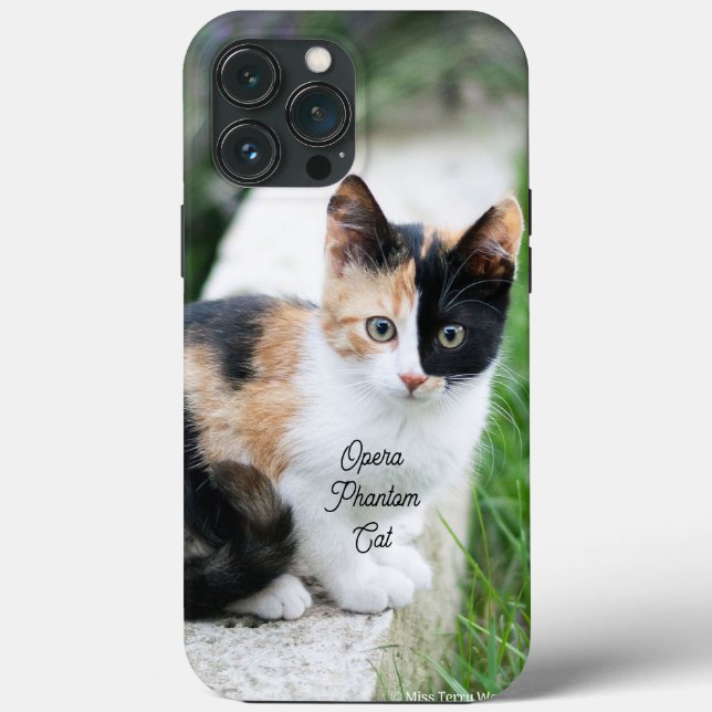 Opera Phantom Cat Case-Mate iPhone Hülle (Rückseite)