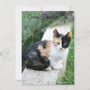 Opera Phantom Cat Feiertagskarte