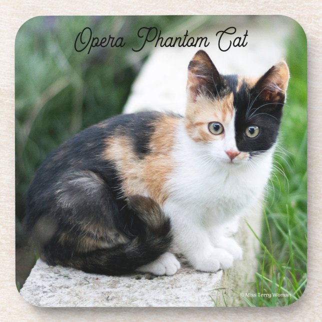 Opera Phantom Cat Getränkeuntersetzer (Vorderseite)